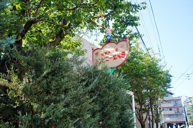 DSC00256_R