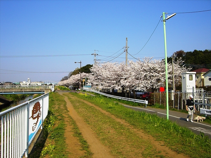 CIMG3056_R
