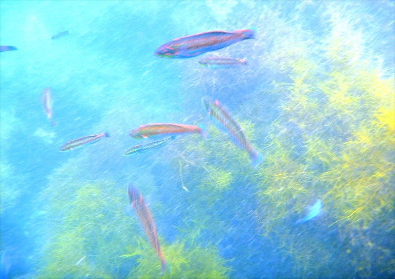 P1200566_R