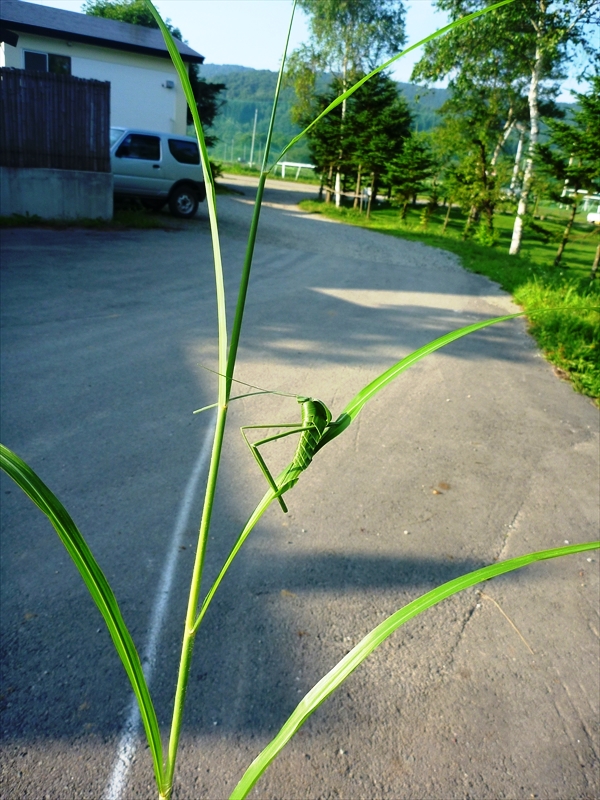 P1060873_R
