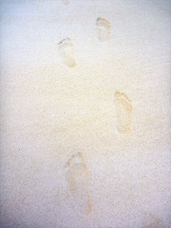 P1020222_R