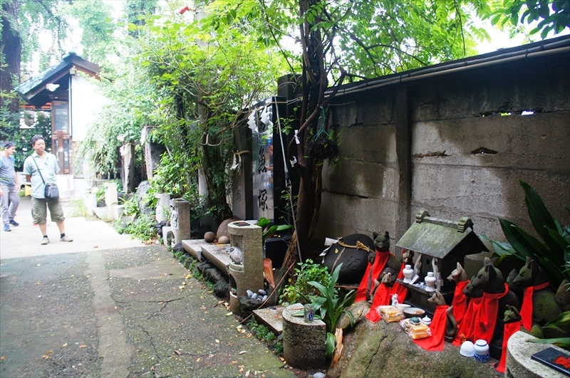 DSC00575_R