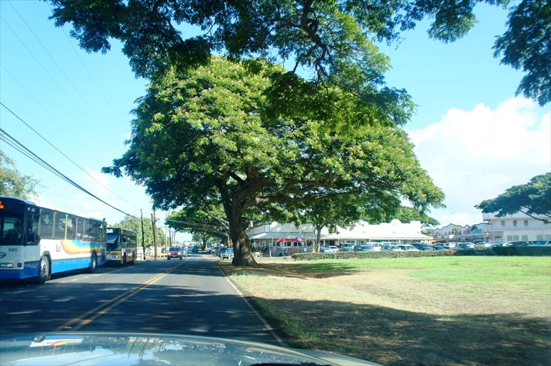 DSC08184_R