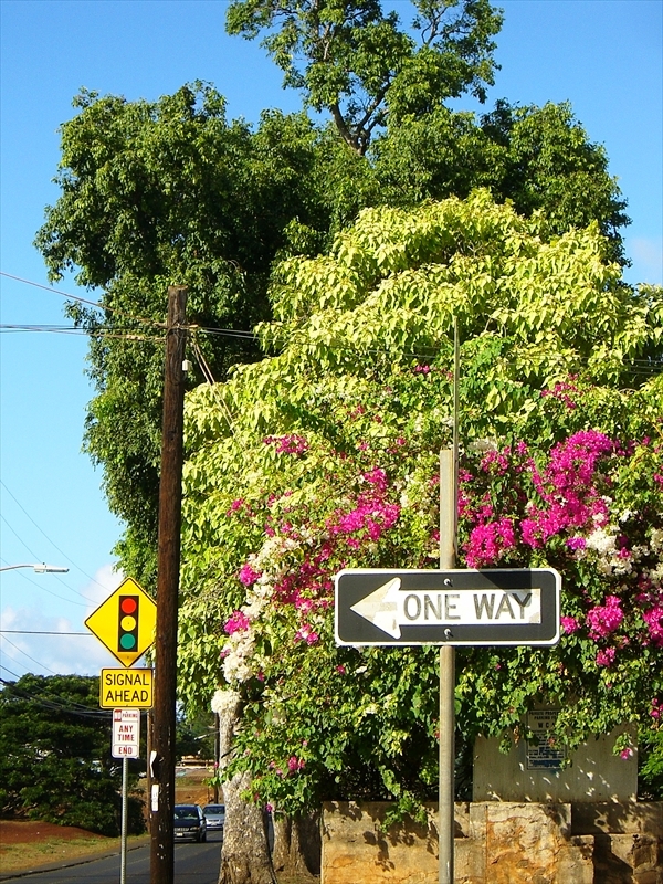 CIMG5343_R
