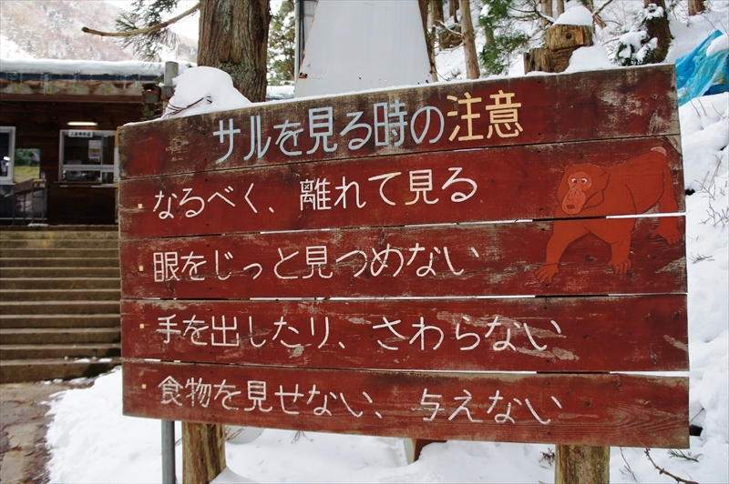 DSC01993_R