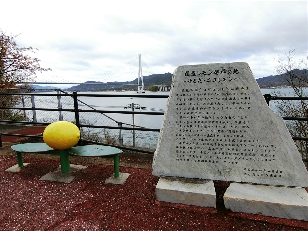 CIMG8108_R