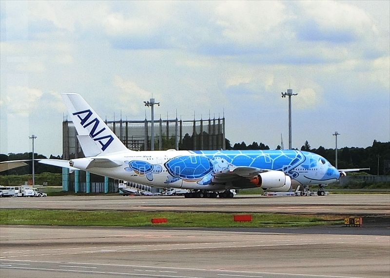 CIMG3546_R