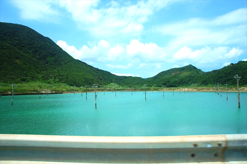 DSC00523_R