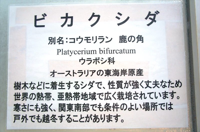 DSC07601_R