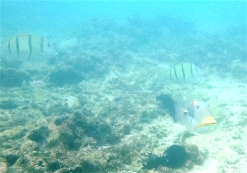 DSC00476_R