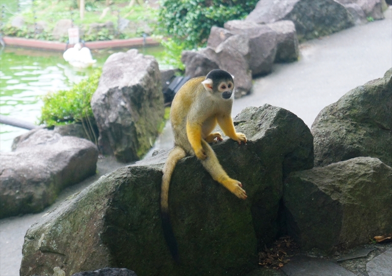 DSC02727_R