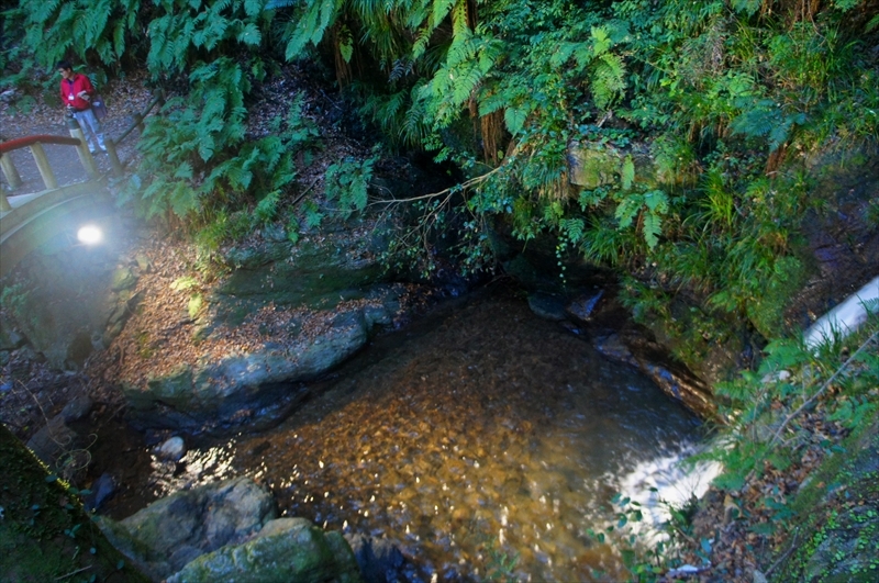 DSC01587_R