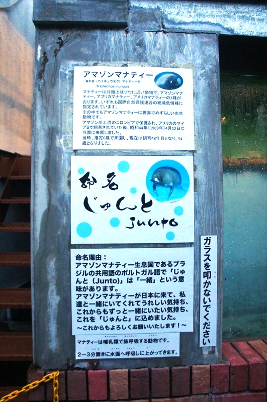 DSC00239_R