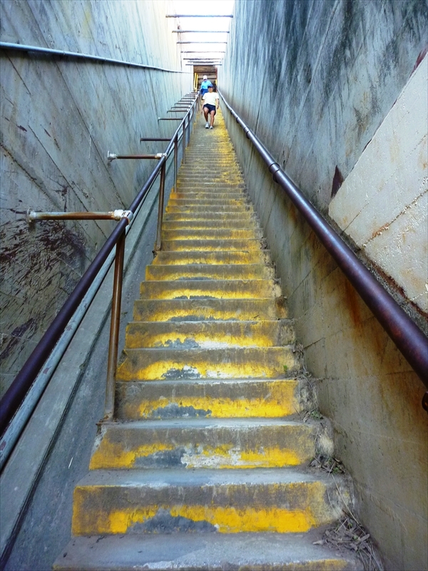 P1020889_R