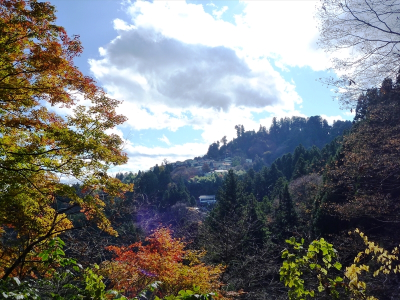 P1030528_R