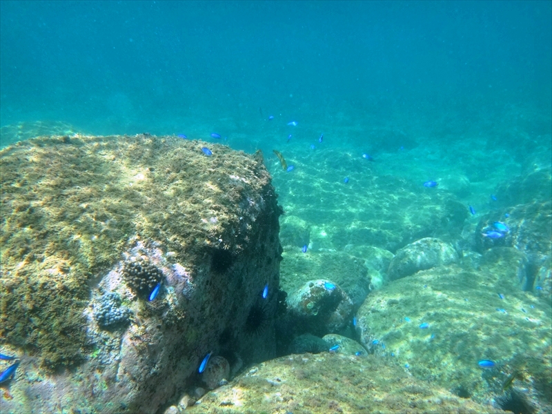 DSC07090_R