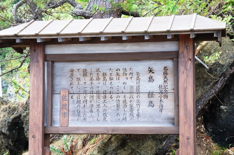 DSC04881_R