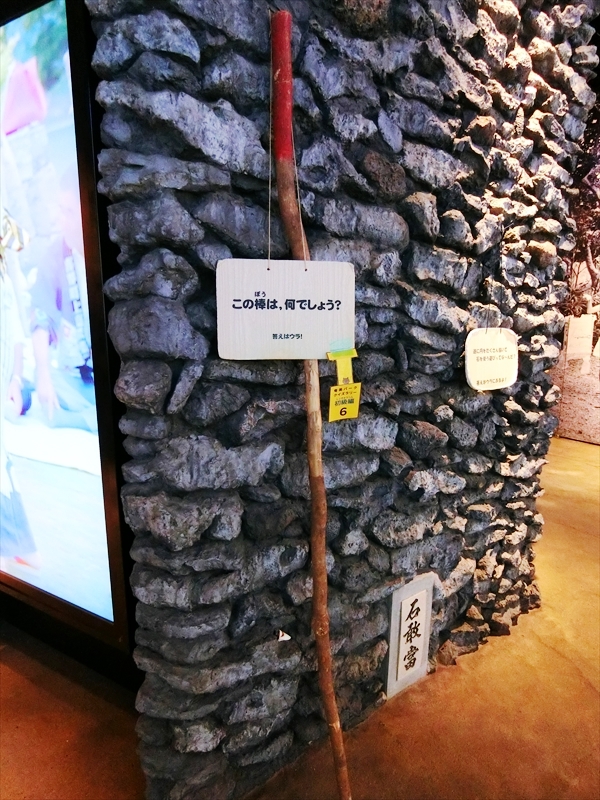 CIMG7388_R