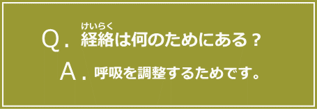 経絡は何のためにある