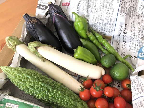 リピ買いが止まらない おうちショッピング メルカリ野菜編 カラノヨリミチ リピ買いが止まらない おうちショッピング メルカリ野菜編 カラノヨリミチ
