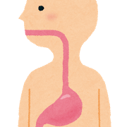 body_syokudou_i_chou