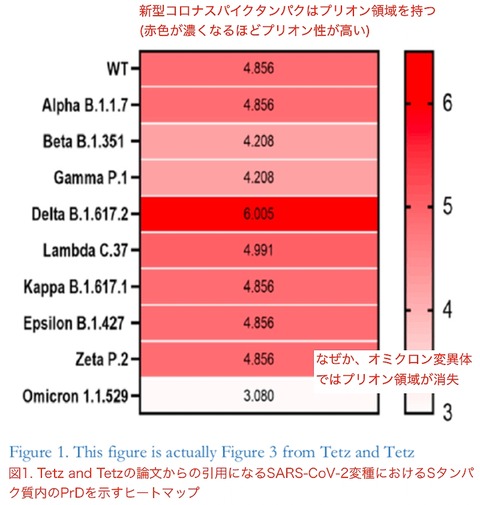 オミクロン株ではプリオン領域が消失