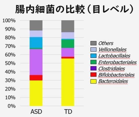 腸内細菌比較