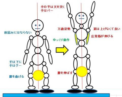201306051332566fas
