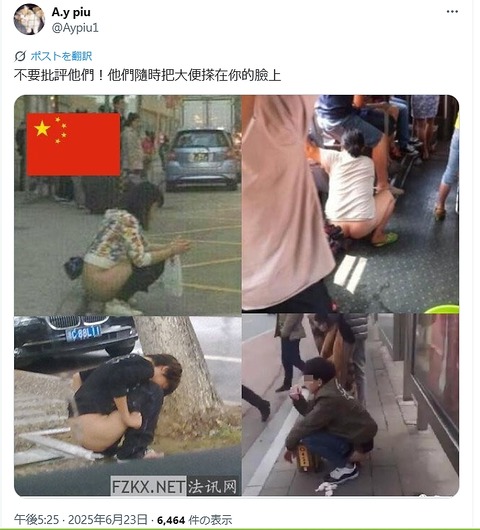 何処でも大便する民族