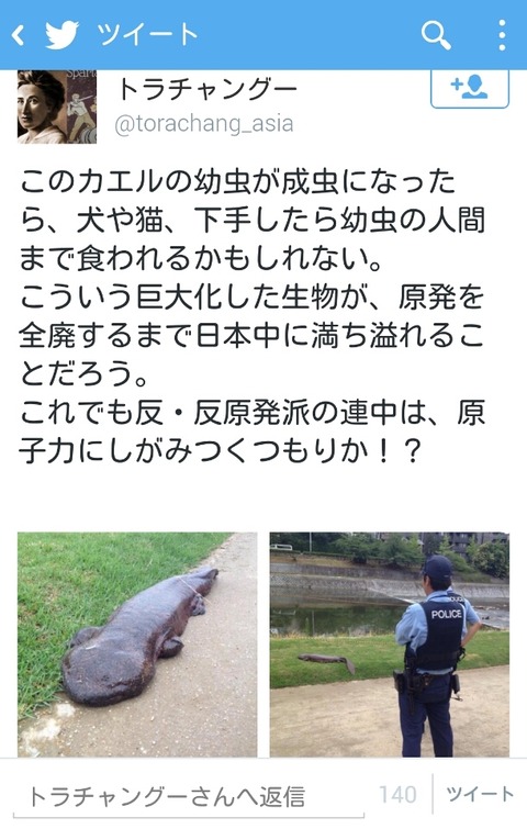 オオサンショウウオですよベクレテル脳さん