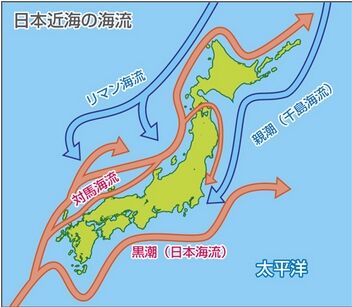 日本周辺の海流