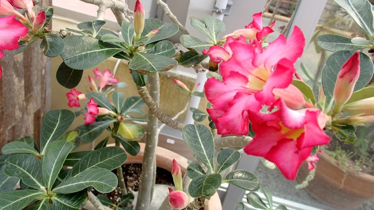 VideoCapture_20220626-223149