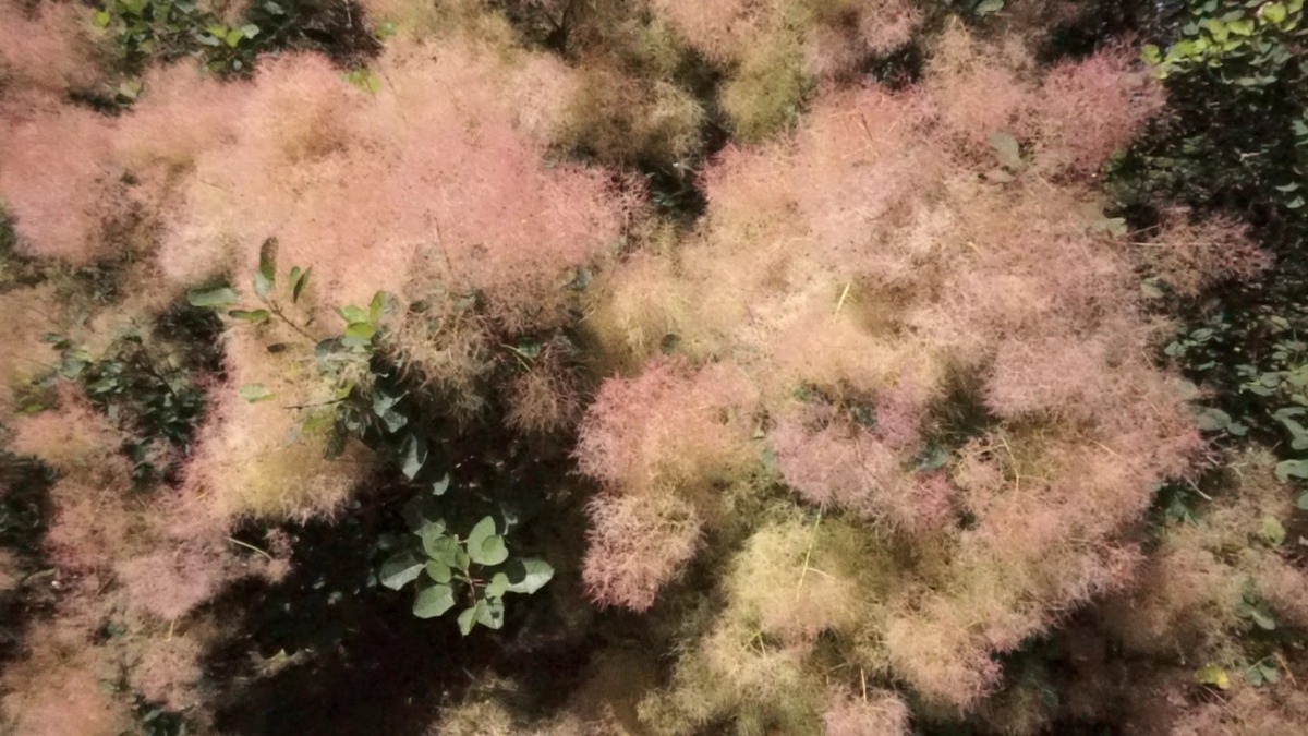 VideoCapture_20220816-214637