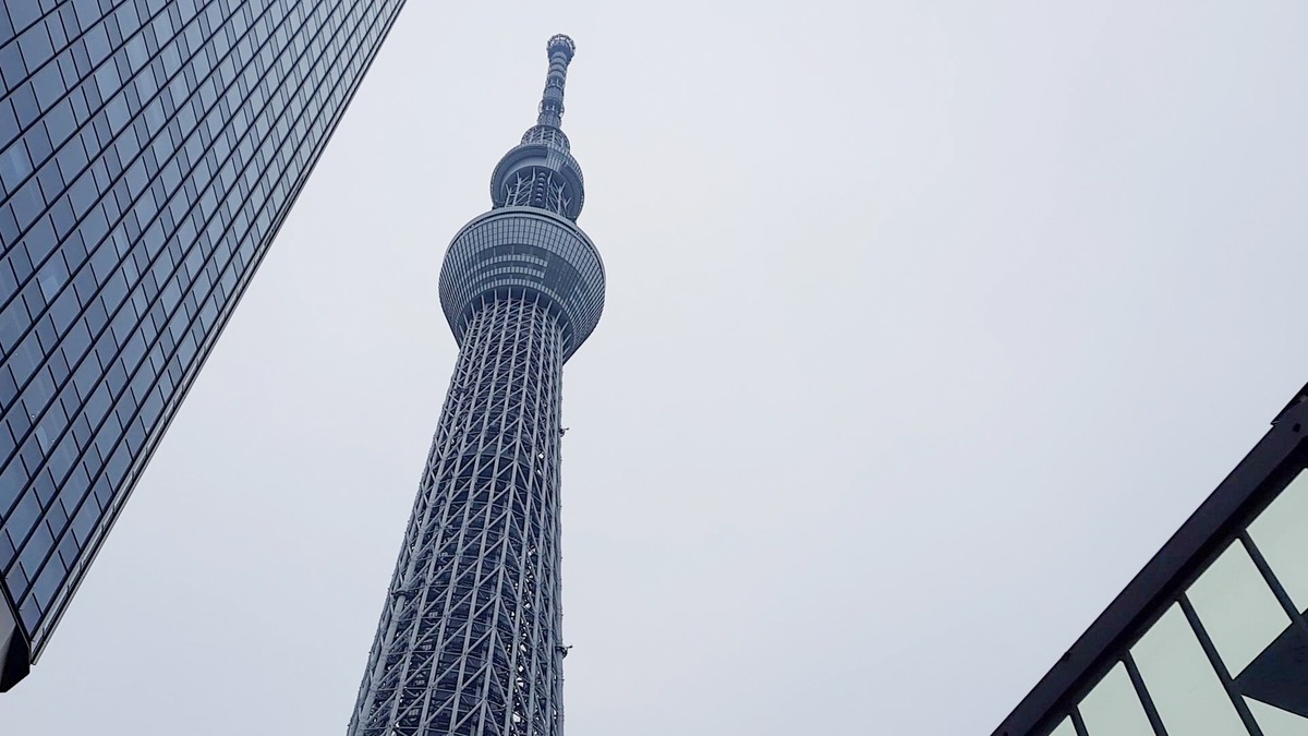 VideoCapture_20220703-101334