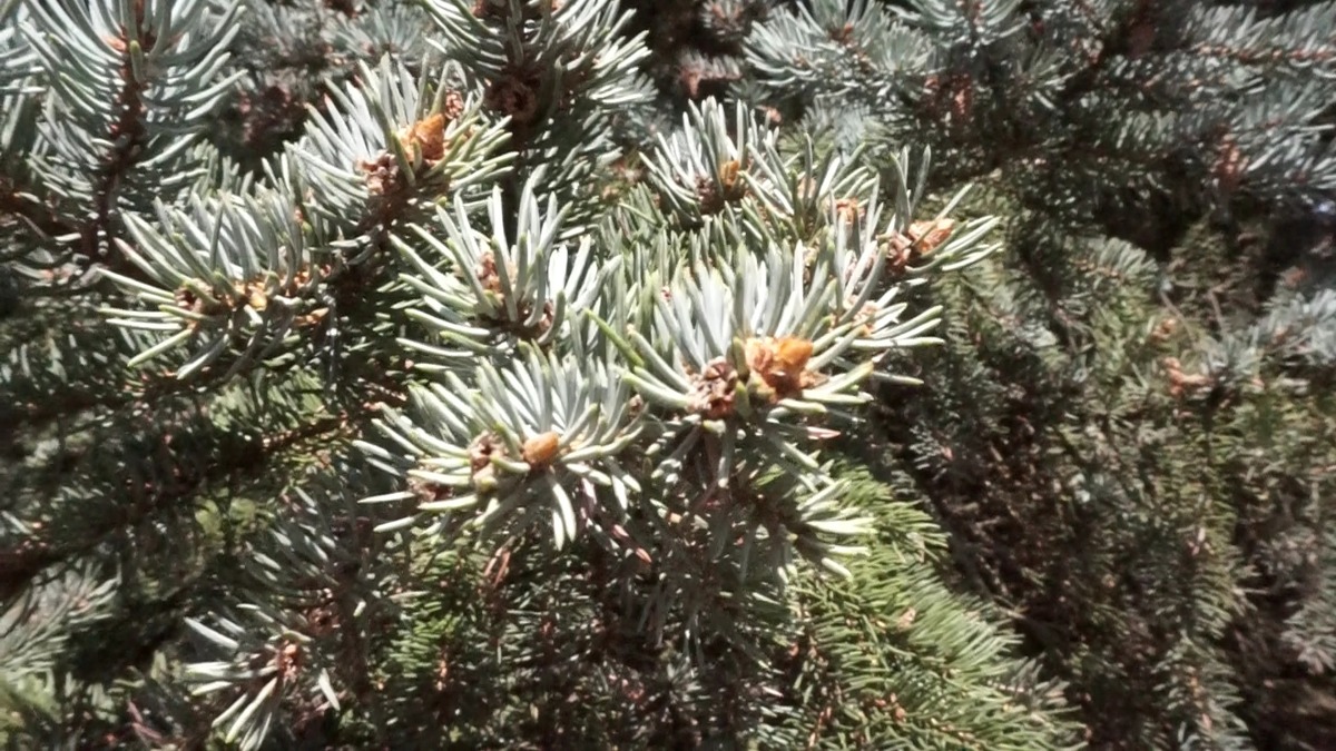 VideoCapture_20220817-230654