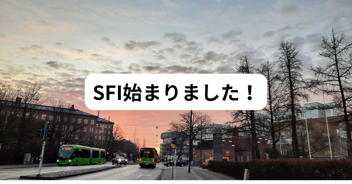 SFI始まりました！2