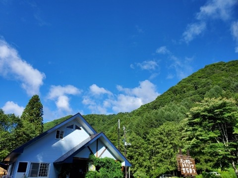 16596545510540