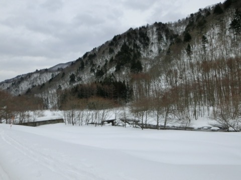 035_20150208170028021s