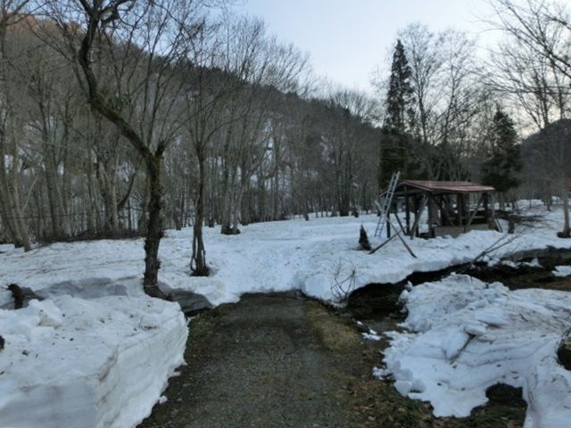 CIMG3384.jpg