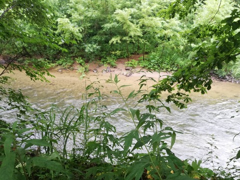 IMG_20190821_074229