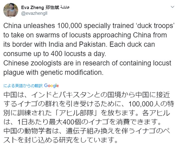 部隊 アヒル
