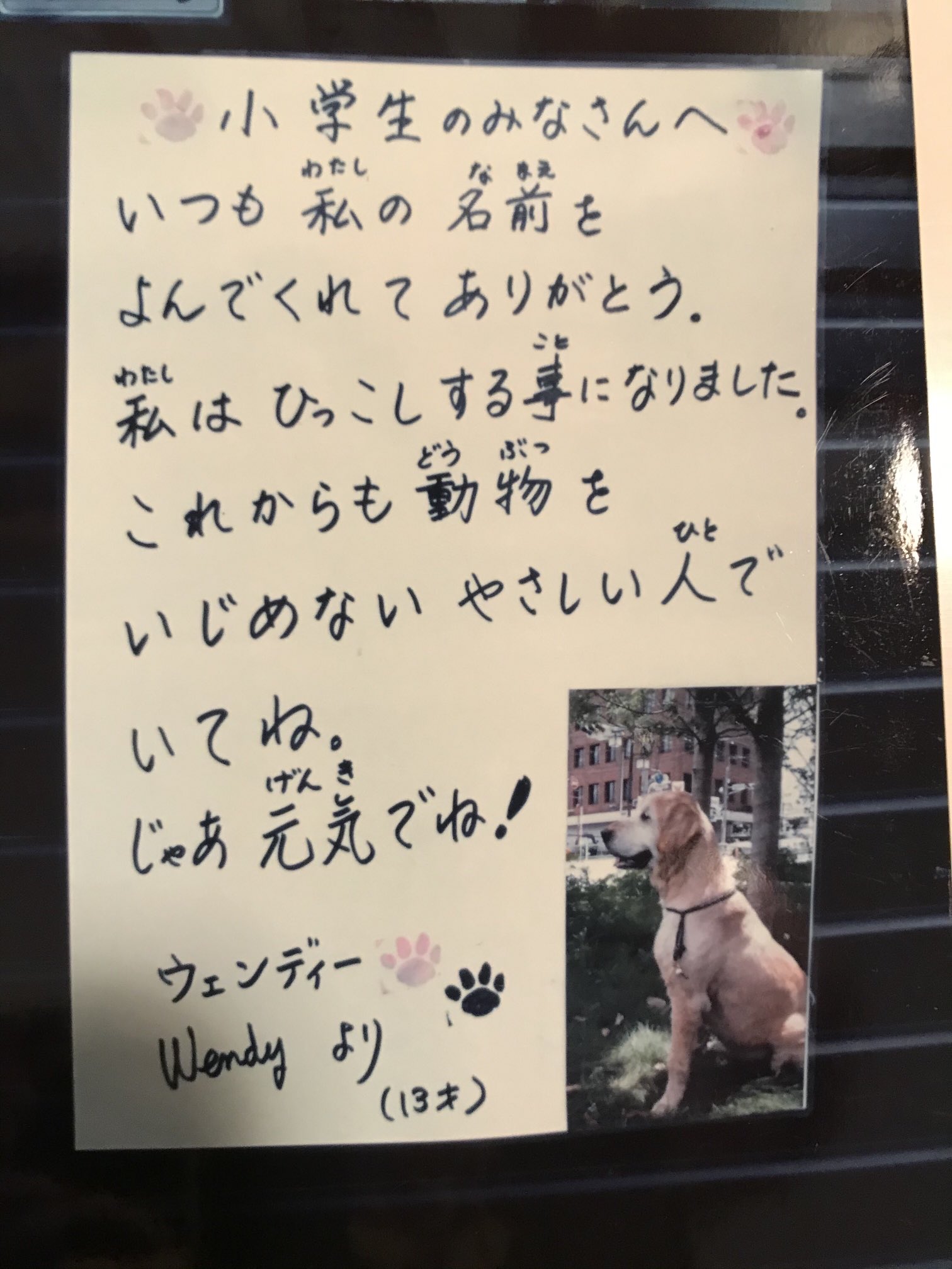 イッヌ 引っ越します ほな また だからまとめる イッヌ 引っ越します ほな また だからまとめる