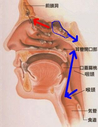 声のコンビネーション