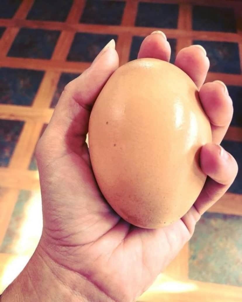 卵パックの中に巨大な卵が1つ混入 割ってみるとマトリョーシカ オーストラリア カラパイア