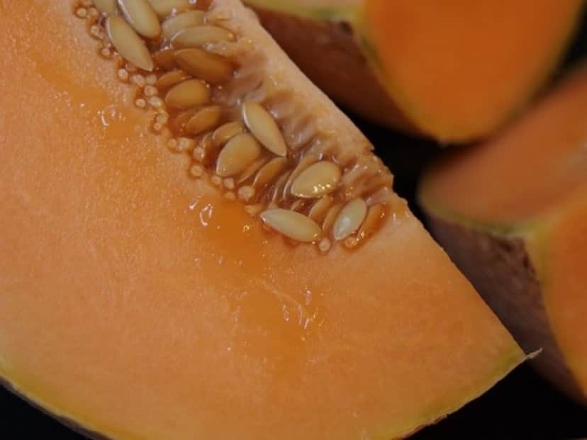melon-1565567_640_e
