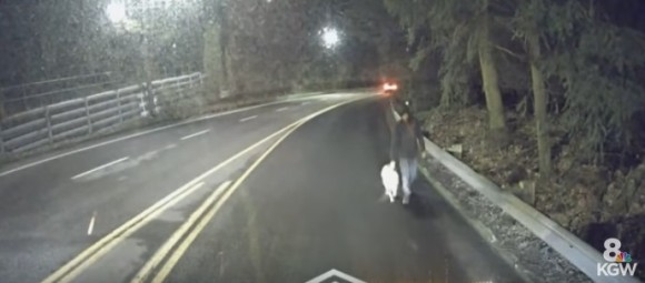 男性が連れていた犬に違和感を感じたバス運転手、犬が盗まれていたことに気づき飼い主に返す（アメリカ）