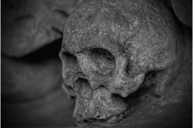 串刺しとなった人骨が大量に発見される。500年前のペルーで何が起きていたのか？