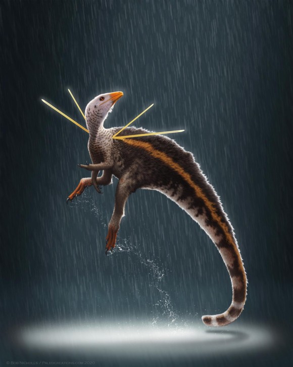 dino_e
