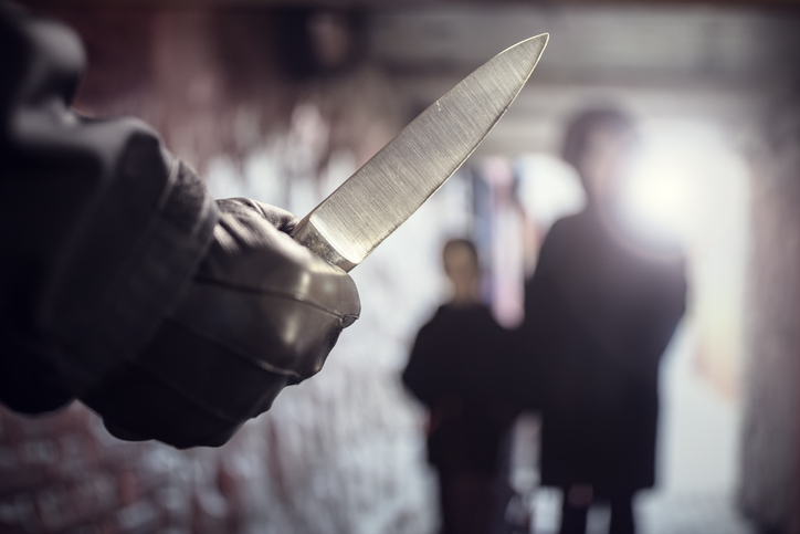 人食い殺人鬼分析