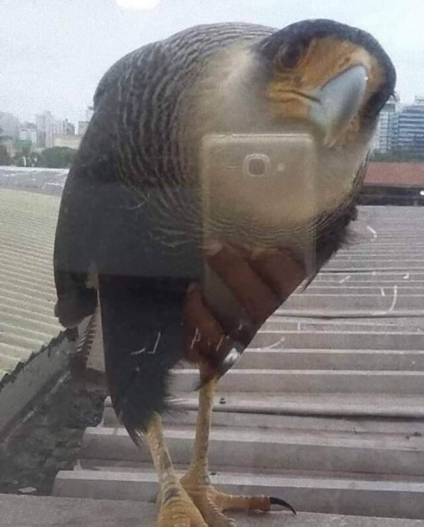 mwbjfhhzvnq71_e